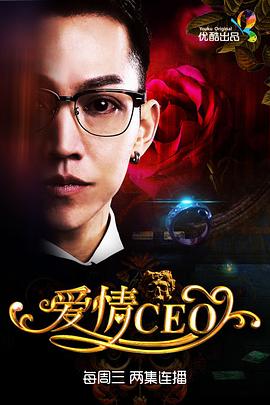 爱情CEO 