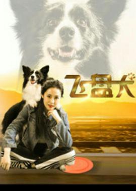 飞盘犬2020 