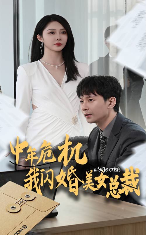 中年危机我闪婚美女总裁 